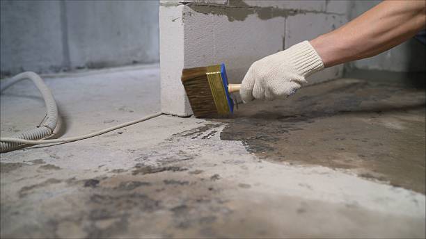 SJ Waterproofing Pros Exterior Waterproofing coverage map for Ohatchee, AL and surrounding area
